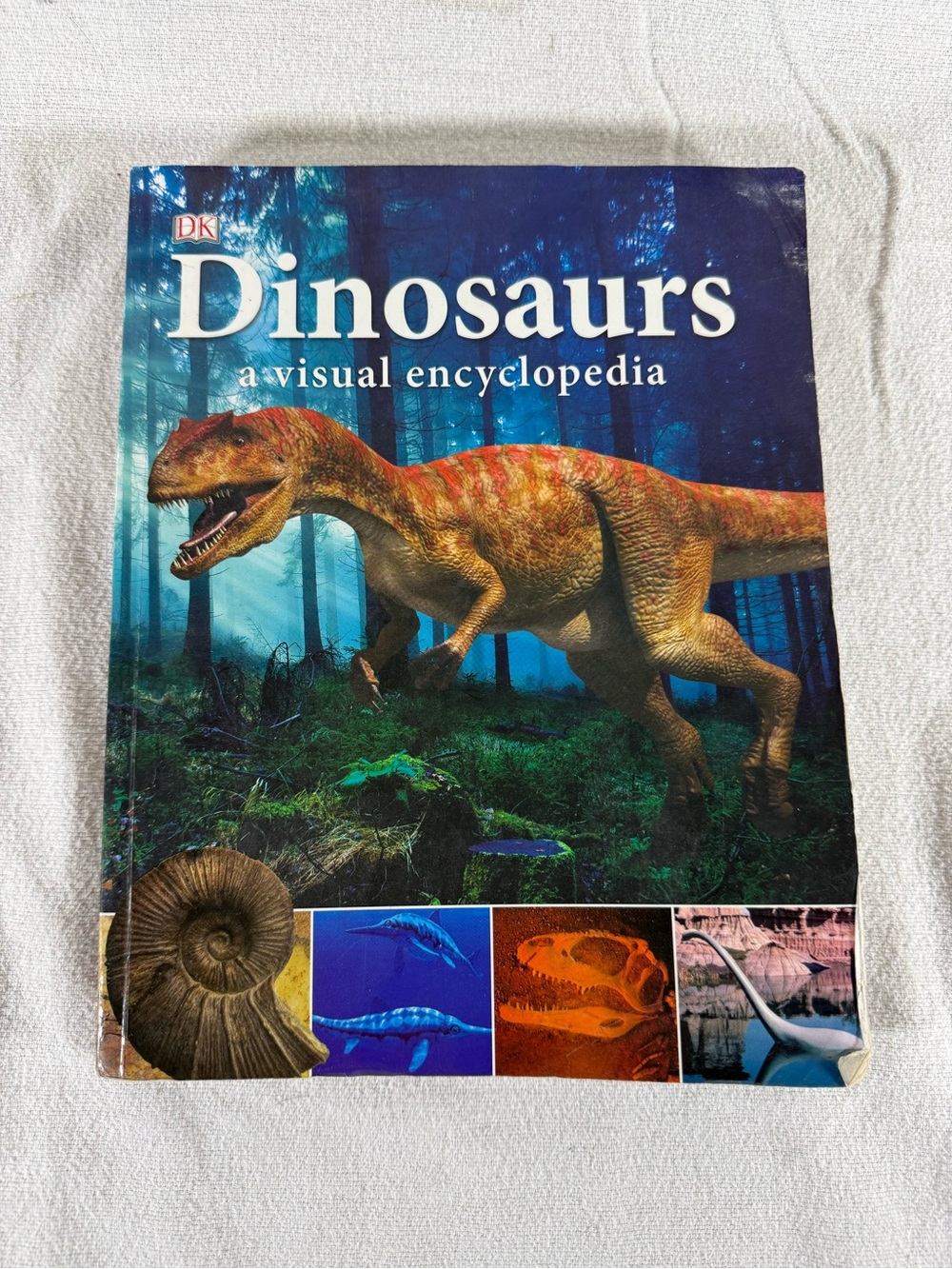 Dinosaurs A Visual Encyclopedia - Orange Dinosaur Cover